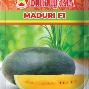 Semangka MADURI F1