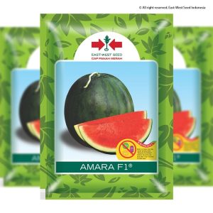 Semangka Amara F1 360 Biji