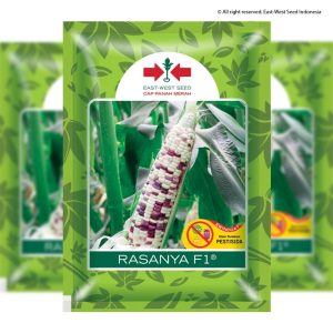 Jagung RASANYA