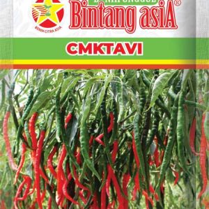 Cabe Keriting CMKTAVI 2gr