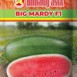 Semangka BIG MARDY F1 20gr