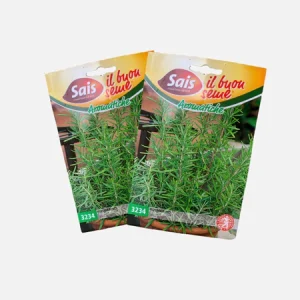 3234 Rosemary Rosmarino