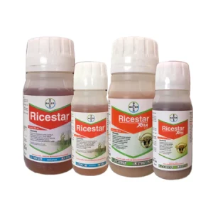 Ricestar