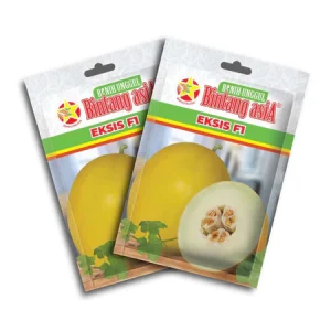 Melon Kulit Kuning Eksis F1 0,5gr