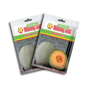 Melon Okasa F1 0,5gr