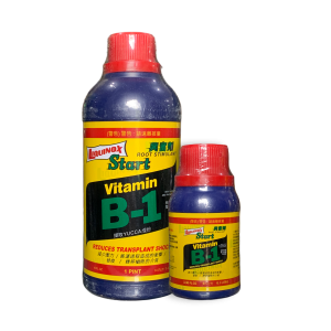 Vitamin B1 Biru (Import Thailand)