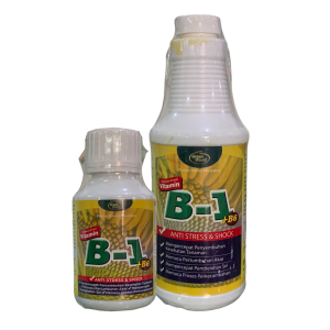 Vitamin B1+B6 Green World
